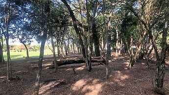 Cinematográfico, Encantador e Paradisíaco