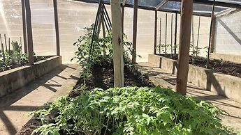 Cinematográfico, Encantador e Paradisíaco