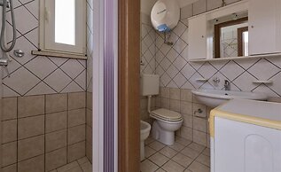 1070 Girasole Trilo 2 by Barbarhouse