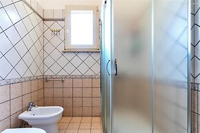 1069 Girasole Trilo 1 by Barbarhouse