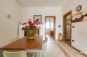 1069 Girasole Trilo 1 by Barbarhouse