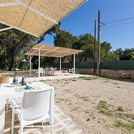 1143 Le Cicale - Violetta