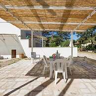 1143 Le Cicale - Violetta