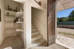 1143 Le Cicale - Violetta