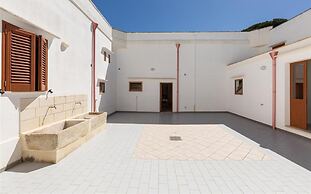 1143 Le Cicale - Violetta