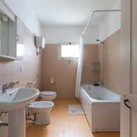 1143 Le Cicale - Violetta