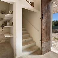 1143 Le Cicale - Violetta