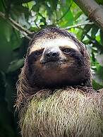 Caribe Town Bungalows