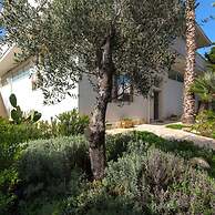 2105 B B Le Radici Del Salento - Quadrupla