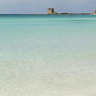 2105 B B Le Radici Del Salento - Quadrupla