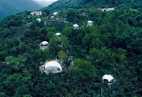 Phalesia Glamping Sapanca