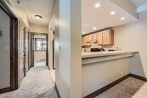 Peak 9 Mountainside Incredible Ski In, Ski Out!