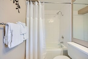 Peak 9 Mountainside Incredible Ski In, Ski Out!