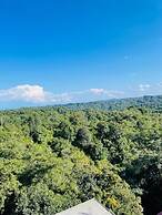 Paradise Woodland Resort Chintpurni