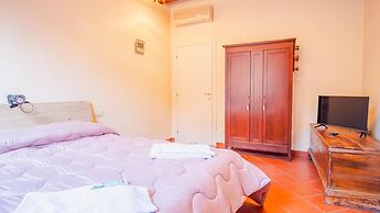 Piazza Grande - Italian Homing