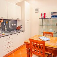 Piazza Grande - Italian Homing