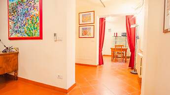 Piazza Grande - Italian Homing