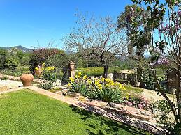 Masia Can Viver - Olive oil tourism B&B