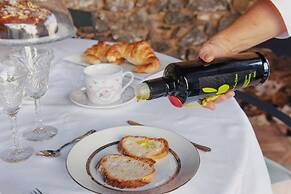 Masia Can Viver - Olive oil tourism B&B