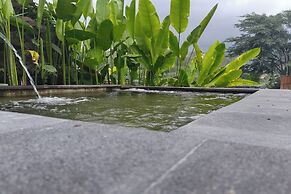 Onion Garden And Natural Hotspring