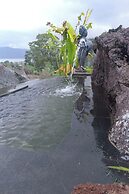 Onion Garden And Natural Hotspring