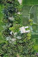 Lumbung Langit Bali House And Hostel