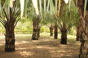 ShoeBill Safari Lodge