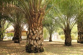 ShoeBill Safari Lodge