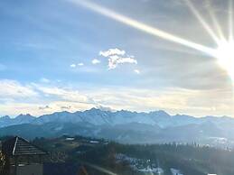 Willa Janowa apartamenty i pokoje