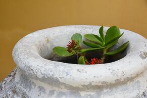 Maxim Suite in Corfu