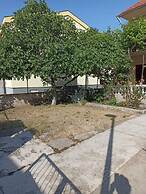 Slavica - Free Wifi - A2