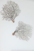 Studio Bałtycka in Kołobrzeg by Renters