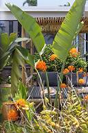 South Pacific Palms Motor Inn