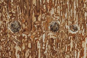 Casa Raco Hotel Boutique