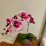 Apartamento Gloria View HIR 23