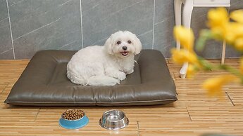 Gapyeong Jmong Choncance&camping Pension