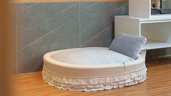 Gapyeong Jmong pet Pension