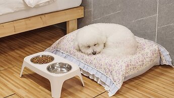 Gapyeong Jmong Choncance&camping Pension