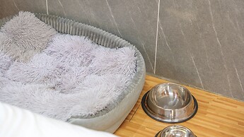 Gapyeong Jmong pet Pension