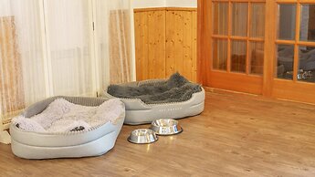 Gapyeong Jmong pet Pension