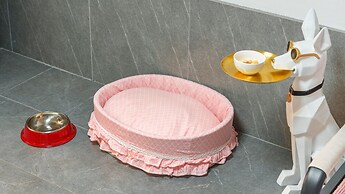 Gapyeong Jmong pet Pension