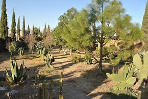 Temazcal Casa de Barro