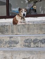 Room-the Villa Close To Surf Beach And G