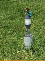 Room-the Villa Close To Surf Beach And G