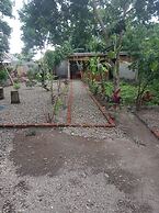 OYO 93627 Avocado Homestay