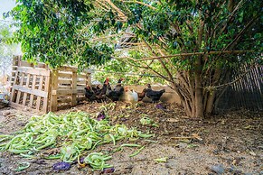 Loveneel Sea Galilee Retreat by SeaNRent