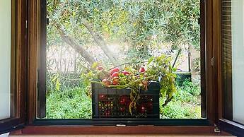 Tuscan Villa 5mins From Beach, Sleeps 8, ev Point