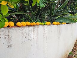 Cozy Vacation Rental in Peaceful Peral, Portugal