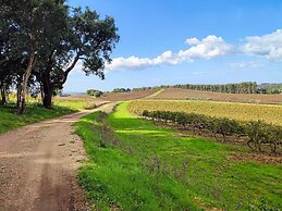 Cozy Vacation Rental in Peaceful Peral, Portugal