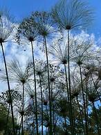 Southern Cross Estate